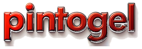 piontogel logo